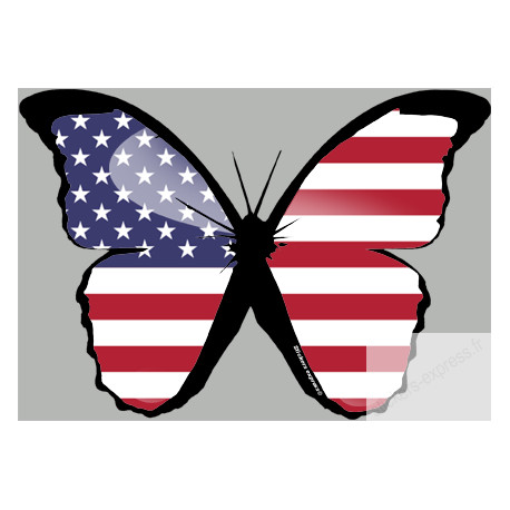 effet papillon USA