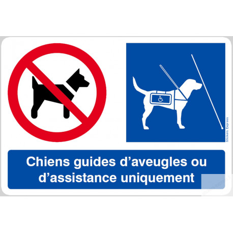 Interdit Sauf Chiens Guides