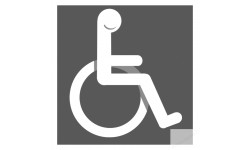 accessibilité handicapé moteur gris