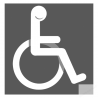 accessibilité handicapé moteur gris