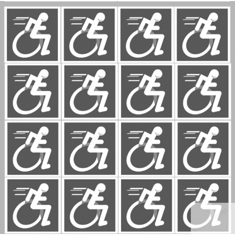 Stickers / autocollants handisport moteur gris 5