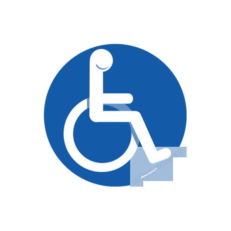 Accessibilité handicapé moteur