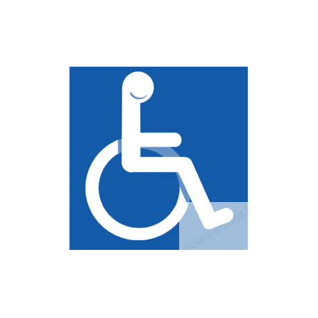 accessibilité handicapé moteur