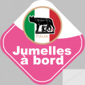 bébé à bord jumelles d'origine Italienne