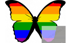 stickers autocollants "effet papillon Gay"