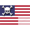 sticker drapeau US crâne