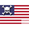 sticker drapeau US crâne